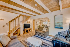 TV, caminetto, Netflix, lettore DVD