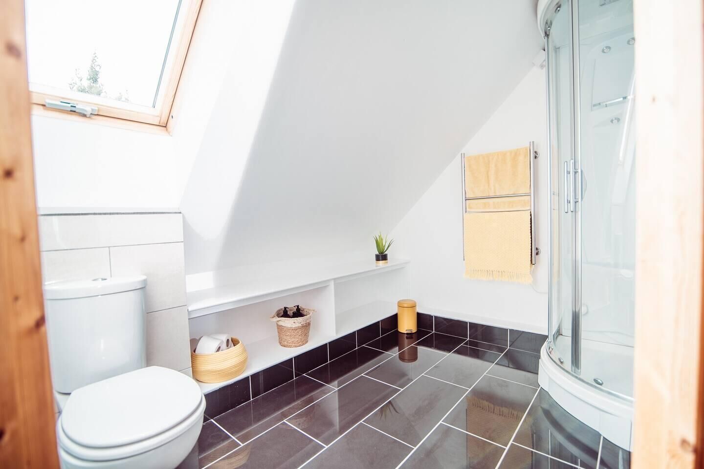 A modern bathroom with a skylight, black tiled floor, a toilet, a shower, and a small shelf with toiletries.