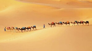 A caravan of camels with riders in a desert landscape.