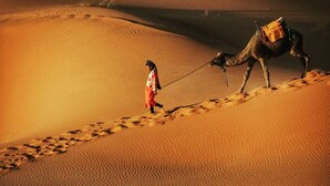 A person leading a camel across a sandy dune.