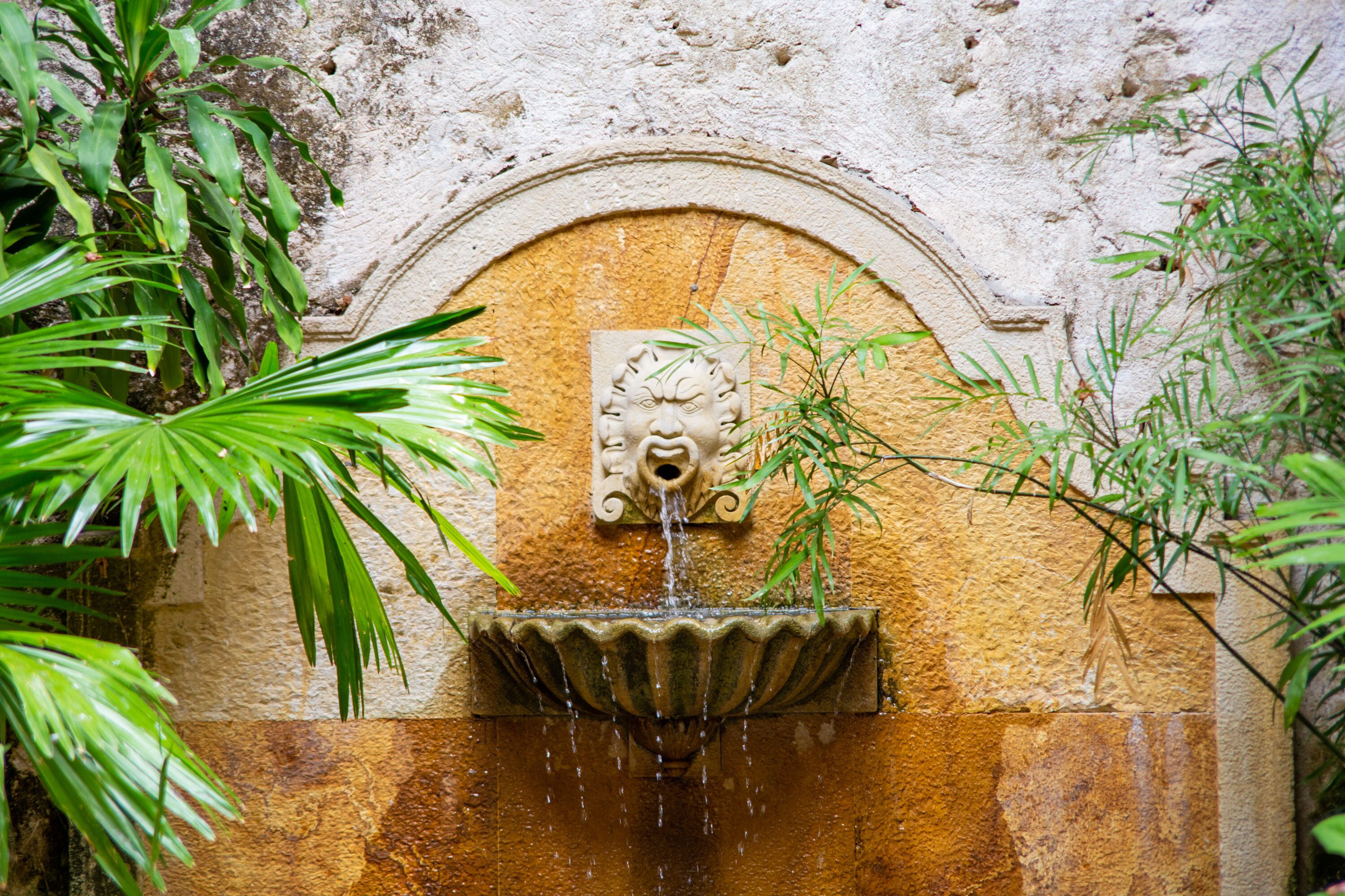 A stone fountain with water flowing into a basin, surrounded by greenery.
