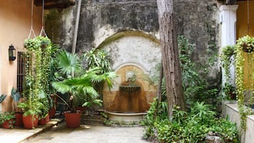 Vue sur le jardin