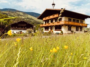 Property grounds - Apartment 1 with Mountain View, Garden & Wi-Fi (Taxenbach)