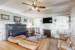 Televisión, chimenea, reproductor de DVD y libros