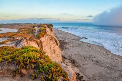 Ground-floor Seaside Suite with charming patio - 2-minute walk to beach