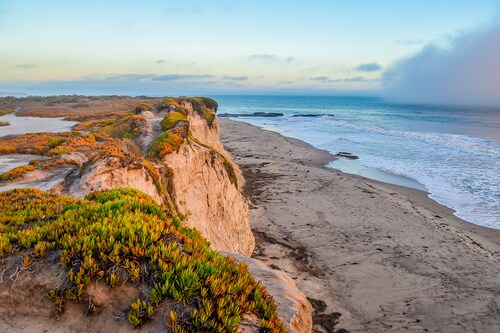 Charming 229-sq-ft studio near Stearns Wharf & 1 block to famed East Beach