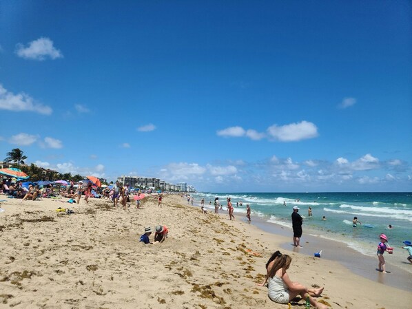 Sun-loungers, beach towels