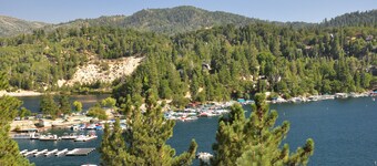 Tree-top getaway with forested views, elevated deck & fireplace