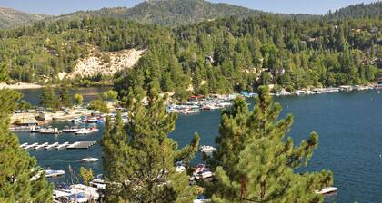 Tree-top getaway with forested views, elevated deck & fireplace