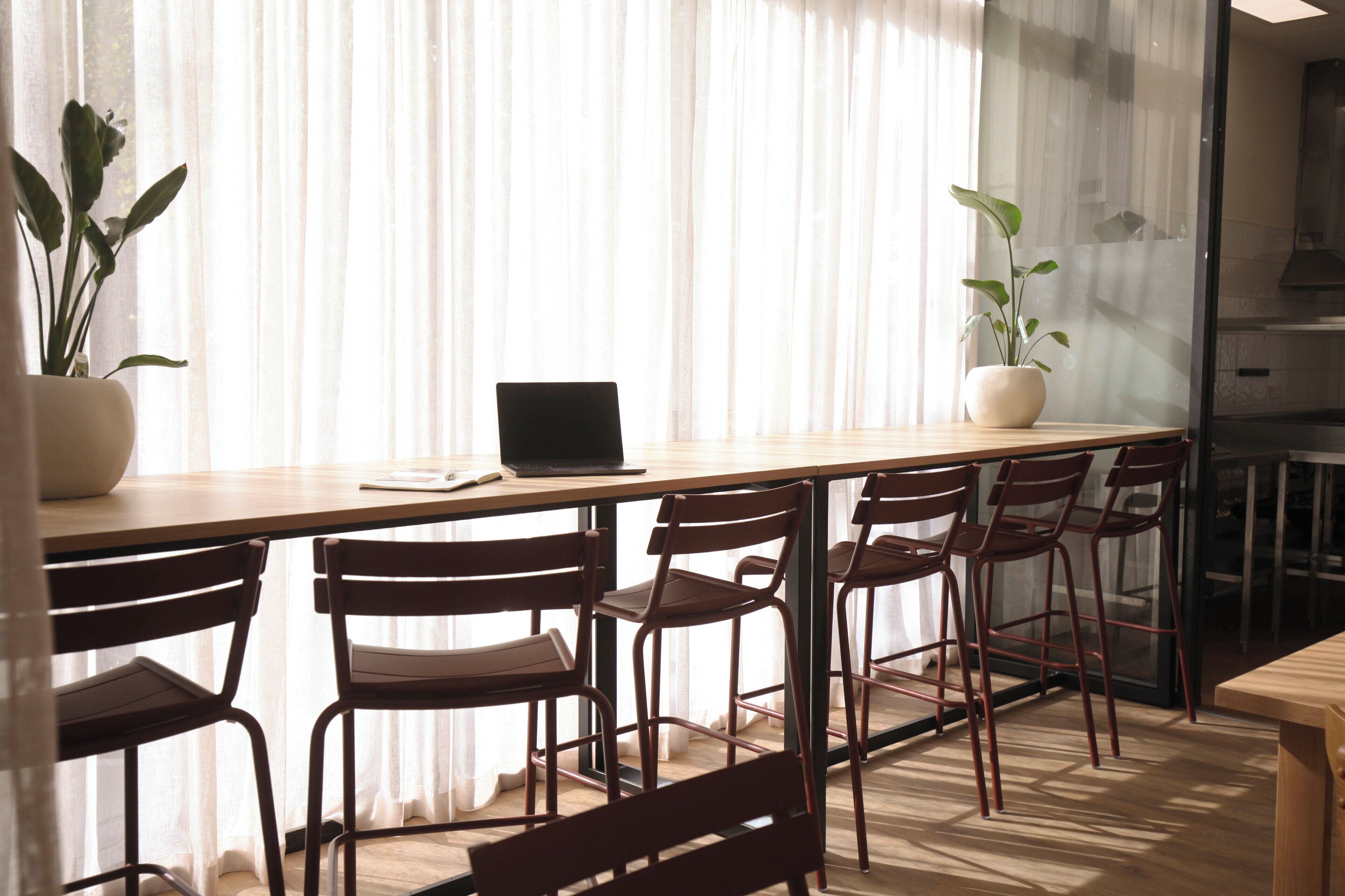 A modern kitchen with a wooden countertop, a laptop, and a potted plant.