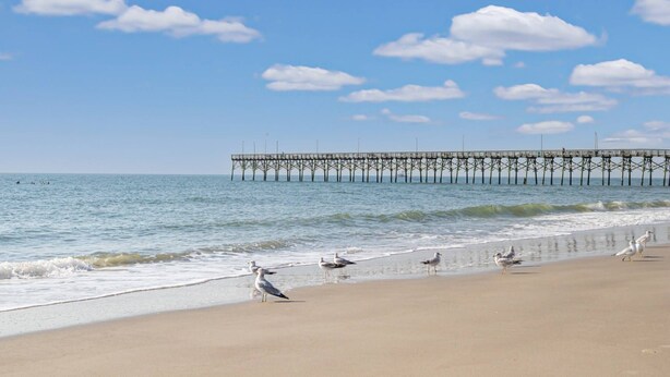 A beach with a pier extending into the water, seagulls on the sand, and a clear sky. - Dog Friendly Cottage w/ Large Fenced in Backyard - Close to Beach (Oak Island)