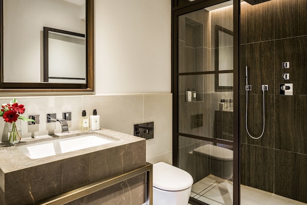 Shower, hair dryer