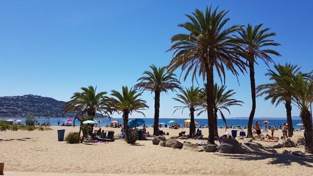 A beach with palm trees, people sunbathing, and umbrellas.