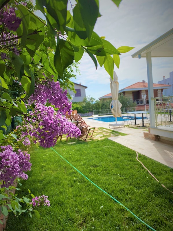 Jardin