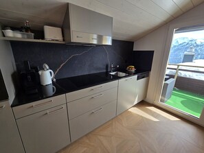 Fridge, dishwasher, cookware/dishes/utensils