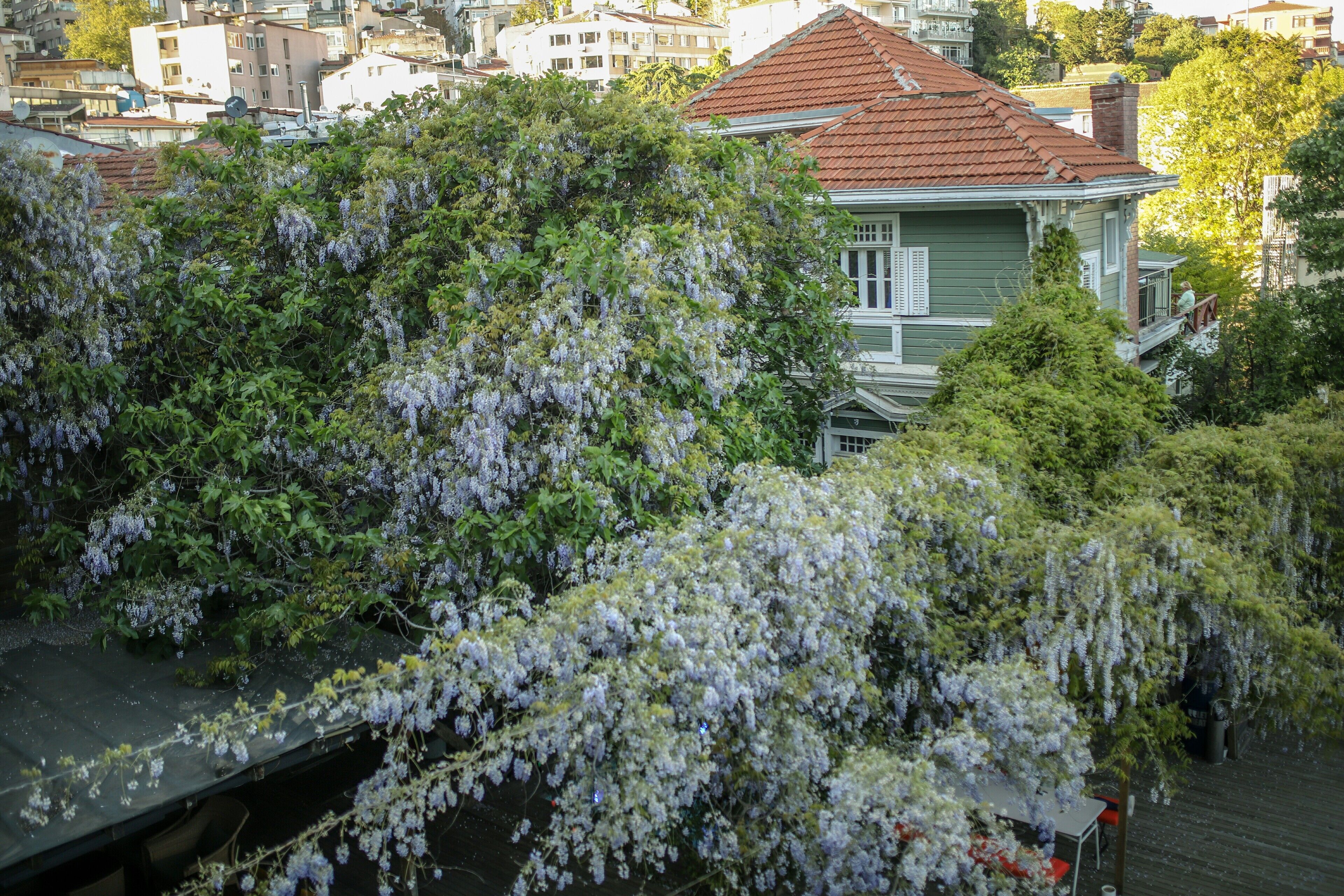 Foto - Loop Hotel Bosphorus İstanbul