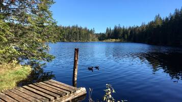 4 habitaciones y internet