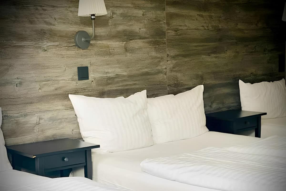 Hypo-allergenic bedding, desk, free WiFi, bed sheets