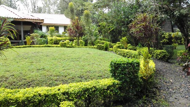 A well-maintained garden with a lawn, hedges, and a variety of trees and shrubs. - Tala Village Inn (Tala)
