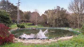 Terrein van de accommodatie