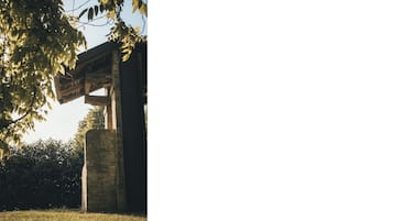 Imagen general
