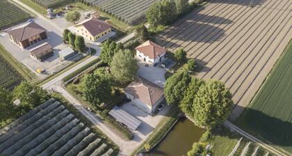 Apartment for 4 people on an organic farm