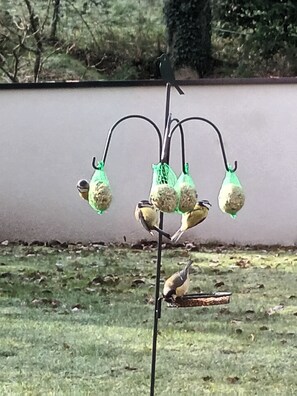 Terrace/patio - LE NID BRETON (Bignan)