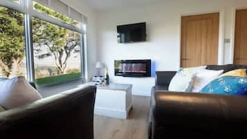 Tv, dvd-spelare och böcker