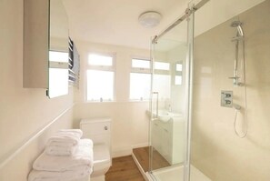 Shower, hair dryer, soap, toilet paper