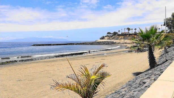 Ein Strand mit felsigem Ufer, Palmen und blauem Himmel.