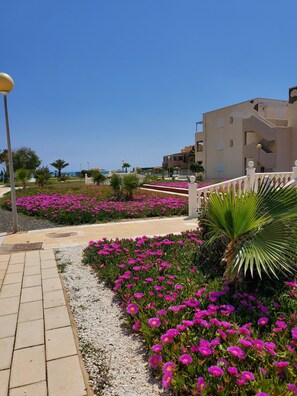 Property grounds - Naturist Baja house with courtyard in first line! (Vera)