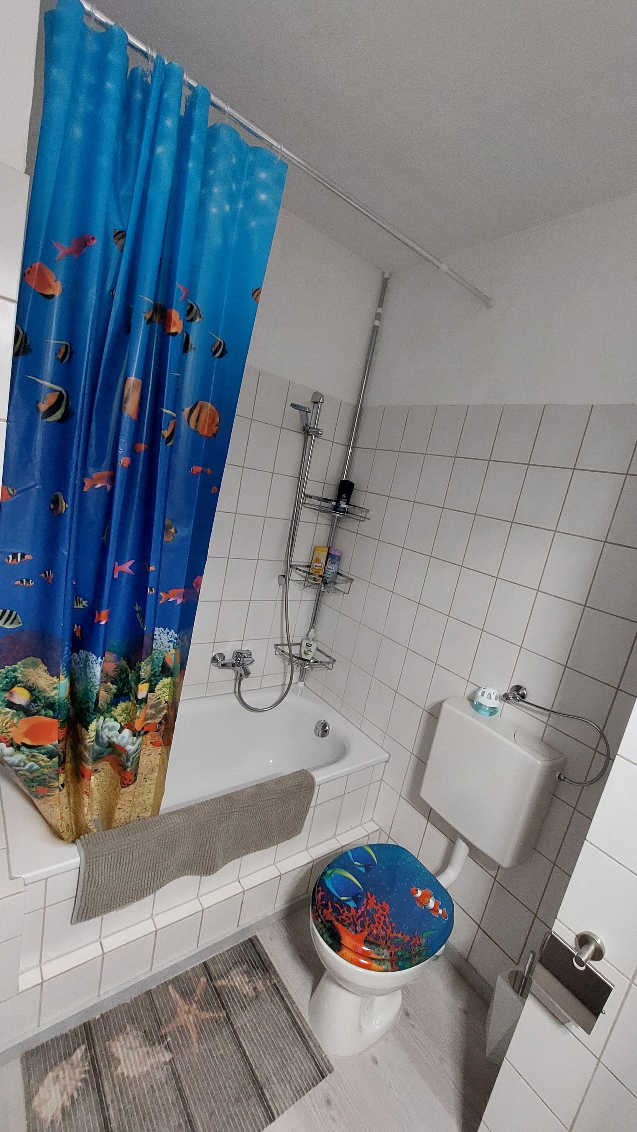 Baignoire, sèche-cheveux, serviettes fournies, savon