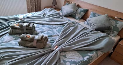 5 km from the center, 1 km from the train station and 11 km from Baden-Airpark