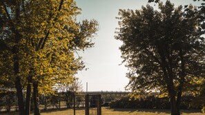 Sports court