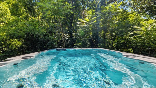 A hot tub surrounded by lush greenery.
