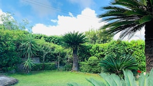 Um jardim exuberante com diversas plantas tropicais e um caminho de pedra.