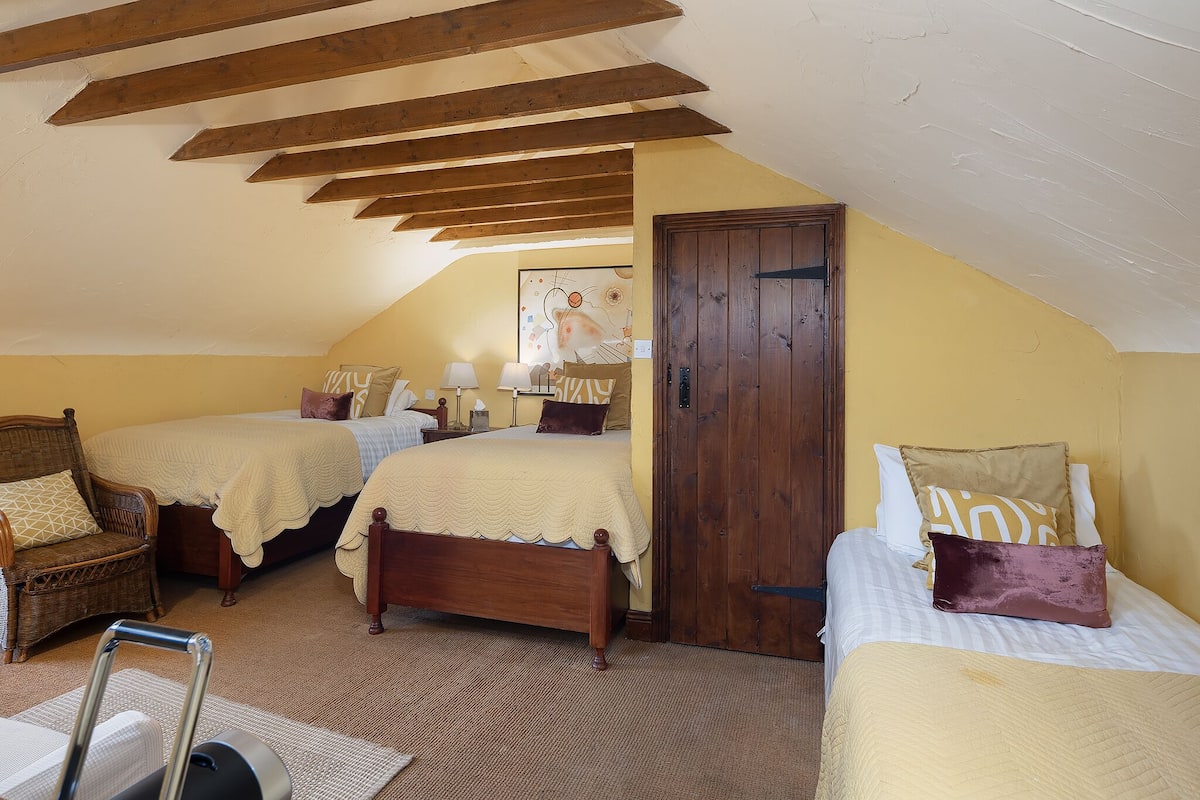 Un dormitorio con dos camas, vigas de madera en el techo, una puerta y una silla.