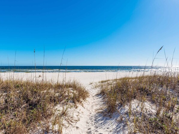 On the beach - Dory D | Stunning Location, Easy Beach Access + Pet Friendly (Perdido Key)
