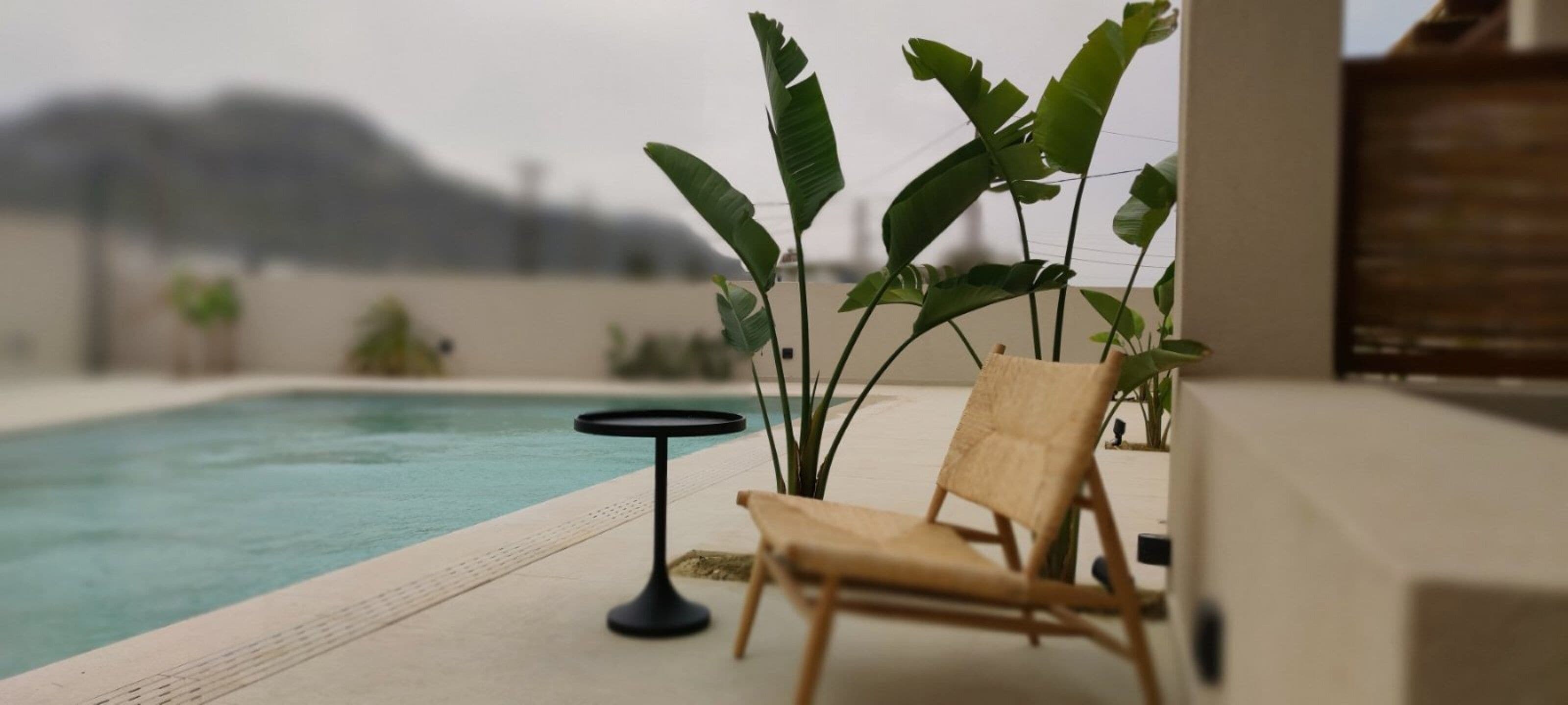 A poolside area with a lounge chair and a small table, surrounded by large green plants.
