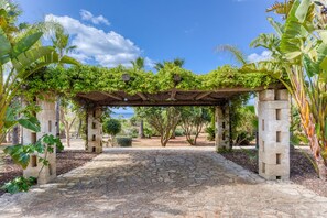 Ein gepflasterter Weg führt zu einem mit Grünwerk überwucherten Pergola, umgeben von tropischen Pflanzen und Bäumen.
