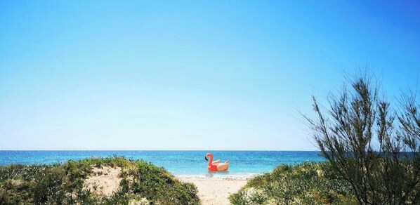 Strand