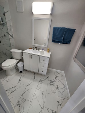Shower, hair dryer, bidet, towels