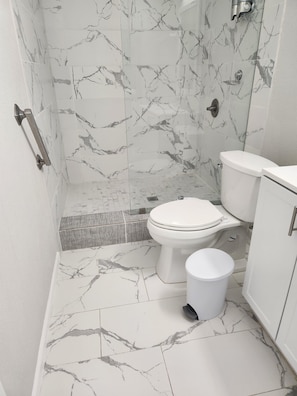 Shower, hair dryer, bidet, towels
