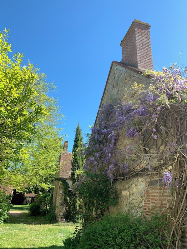 Property grounds - Family house overlooking the Loire (Châteauneuf-sur-Loire)