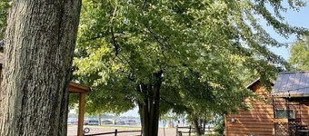 Charming Cecil Cottage Next To Landing!