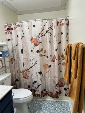 Ensemble baignoire-douche, séchoir à cheveux, serviettes fournies, savon