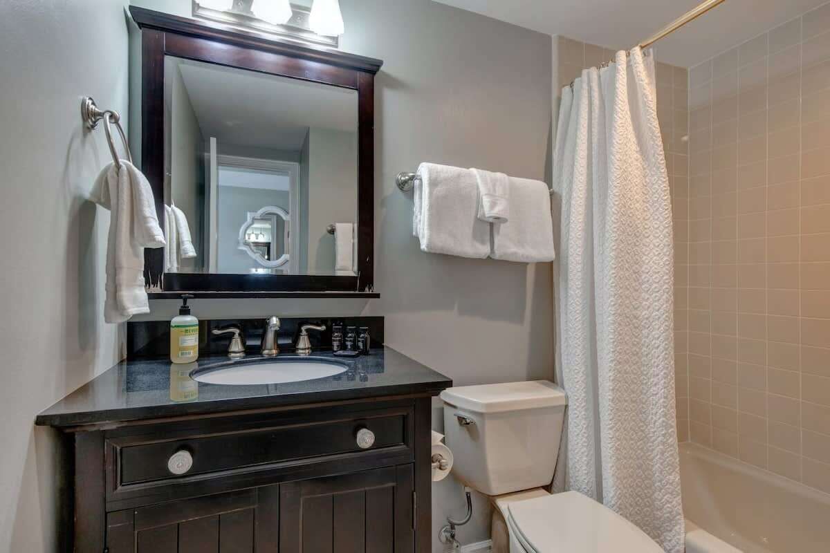 Une salle de bain avec un meuble-lavabo foncé, un évier, des toilettes, un miroir et un rideau de douche.