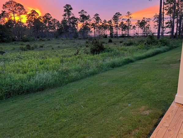A grassy field with a wooden deck and a row of trees in the background.
