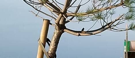 Ubicación cercana a la playa