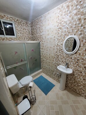 Regadera, secadora de cabello, toallas, papel de baño 